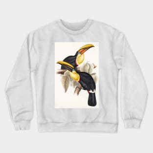 Lemon-Rumped Toucan Art Print 1833-1835 John Gould Vintage Reproduction Crewneck Sweatshirt
